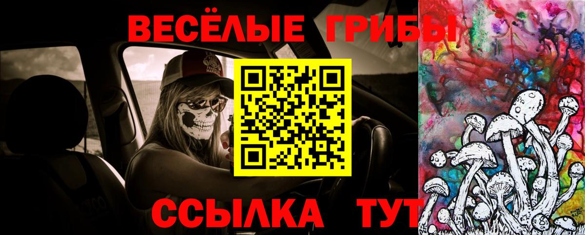 Псилоцибиновые грибы мицелий Алапаевск