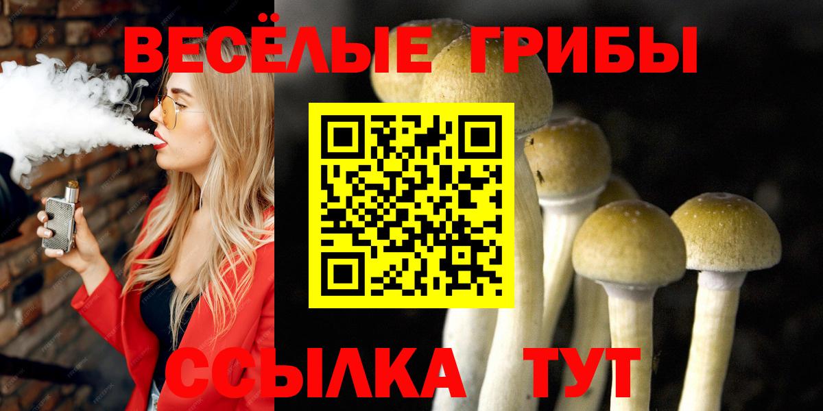Галлюциногенные грибы ЛСД  Галлюциногенные грибы Magic Shrooms  Вход с VPN  Алапаевск 